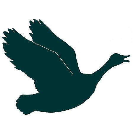 The Honking Goose Inn Amsterdam Exteriör bild